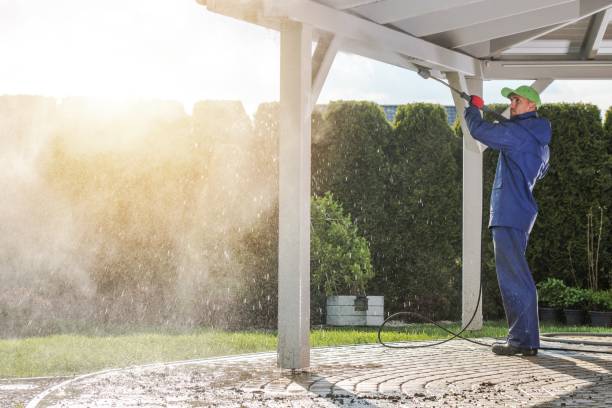 Best Sidewalk and Walkway Cleaning  in Dauphin Island, AL